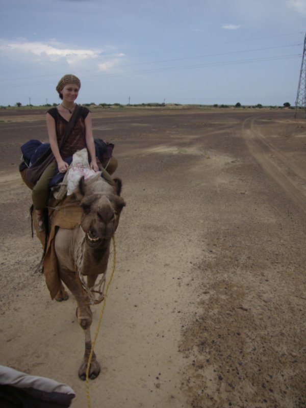 Travel - India - Rajasthan - Desert Camel Trip - Camel Safari